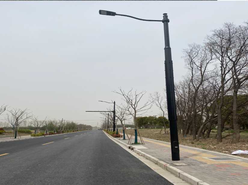 翠屏区上海综合杆 太阳能路灯工程